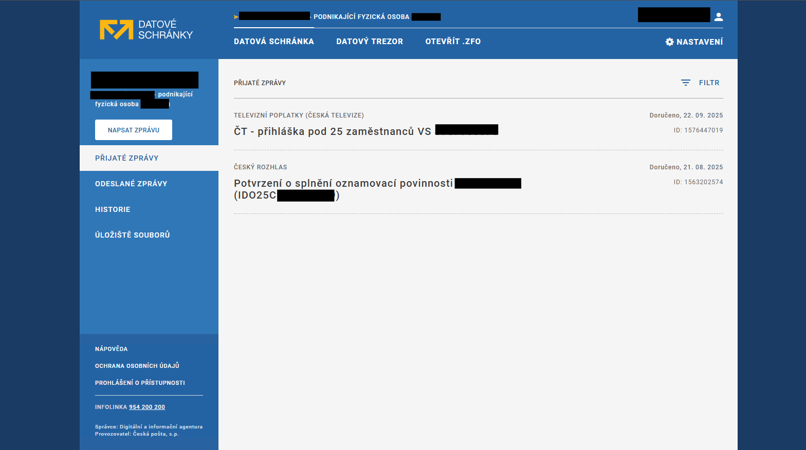Náhled datovky - E-government a internetové bankovnictví