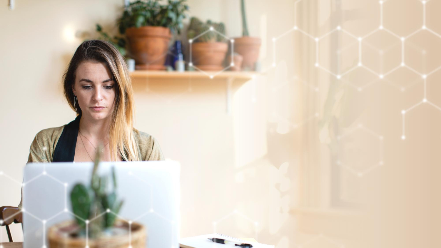 Blog ITnetwork.cz