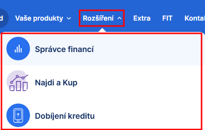 Přehled výdajů ve Správci financí - E-government a internetové bankovnictví