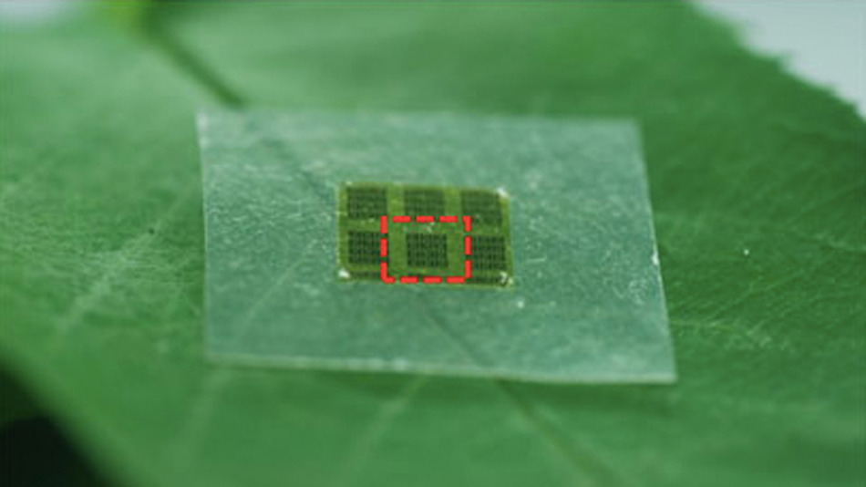 Počítačový čip z nanocelulózy - Zprávy ze světa hardwaru