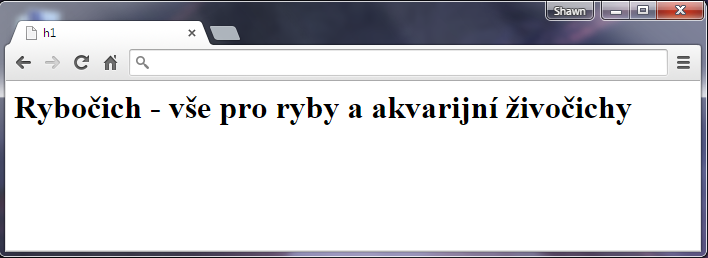 Nadpis h1 v HTML 5 - Textové tagy - Český HTML 5 manuál
