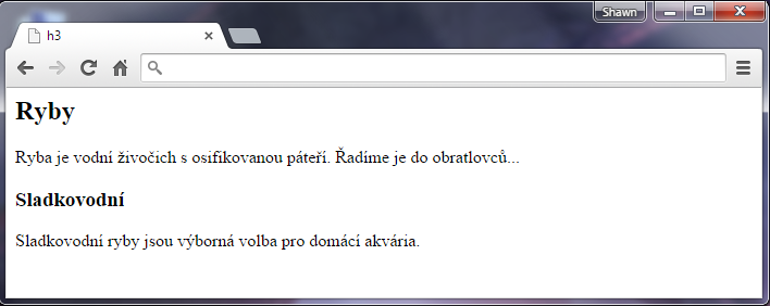 Nadpis h3 v HTML - Textové tagy - Český HTML 5 manuál
