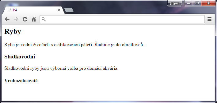 Nadpis h4 v HTML 5 - Textové tagy - Český HTML 5 manuál