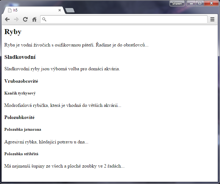 Nadpisy h5 v HTML 5 - Textové tagy - Český HTML 5 manuál