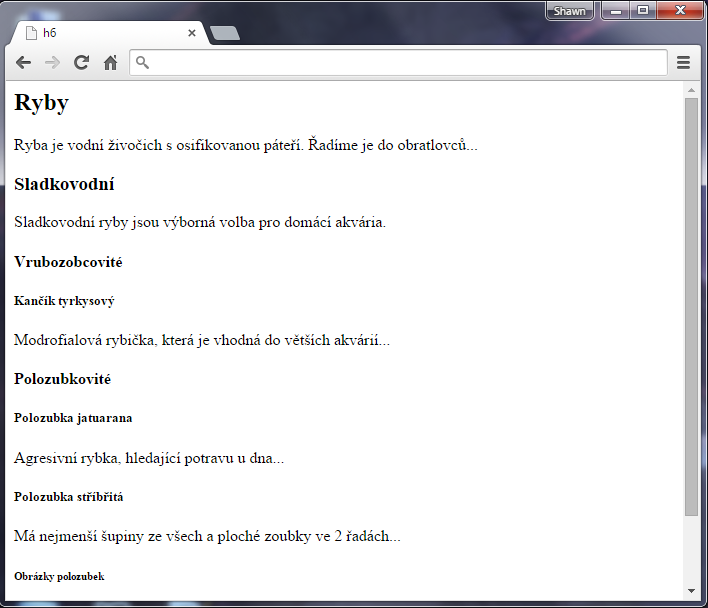 Nadpis h6 v HTML 5 - Textové tagy - Český HTML 5 manuál