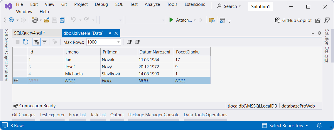 Tabulka po odstranění záznamu - MS-SQL databáze krok za krokem