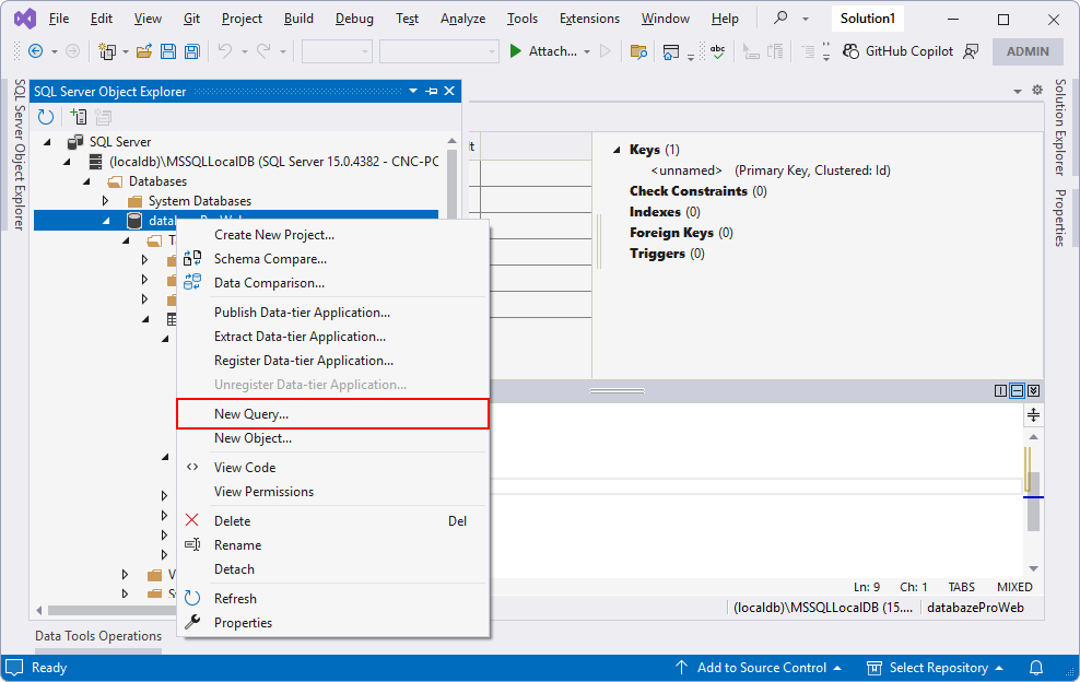 Vytvoření SQL dotazu ve Visual Studio - MS-SQL databáze krok za krokem