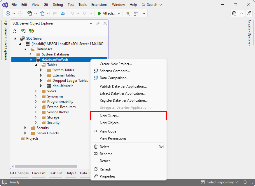 New Query… - MS-SQL databáze krok za krokem