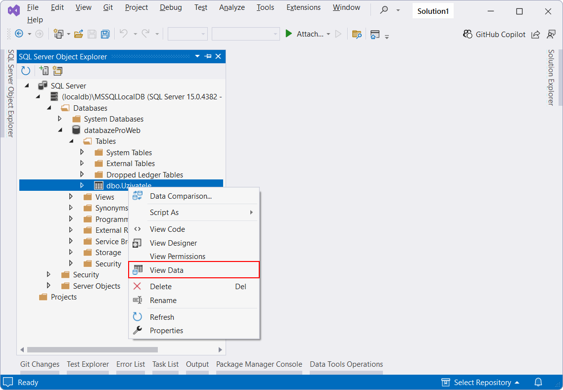 View Data - MS-SQL databáze krok za krokem