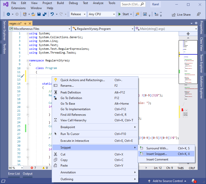 Visual Studio - Pokročilá práce