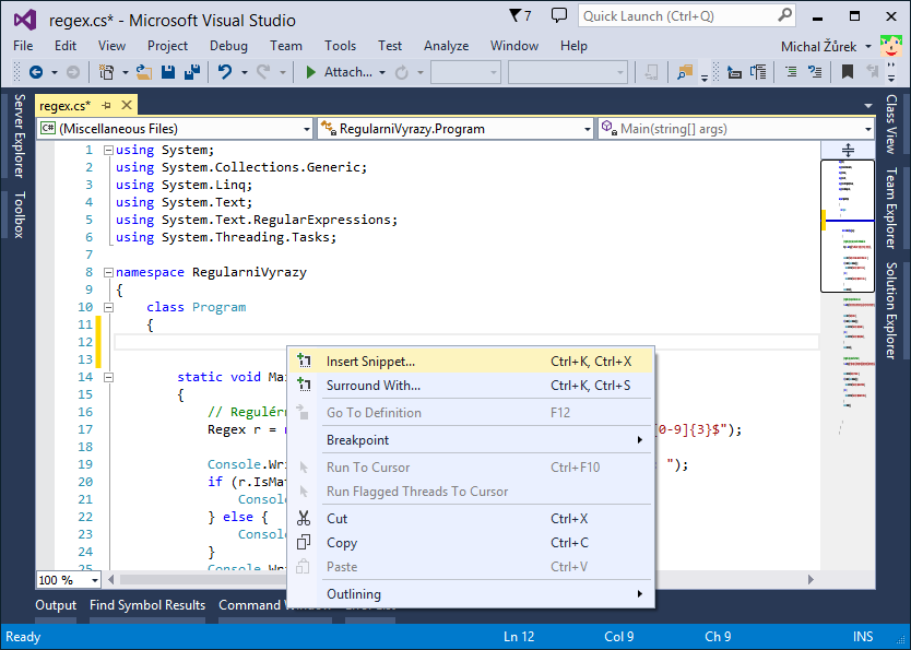 Lekce 7 - Visual Studio - Snippety