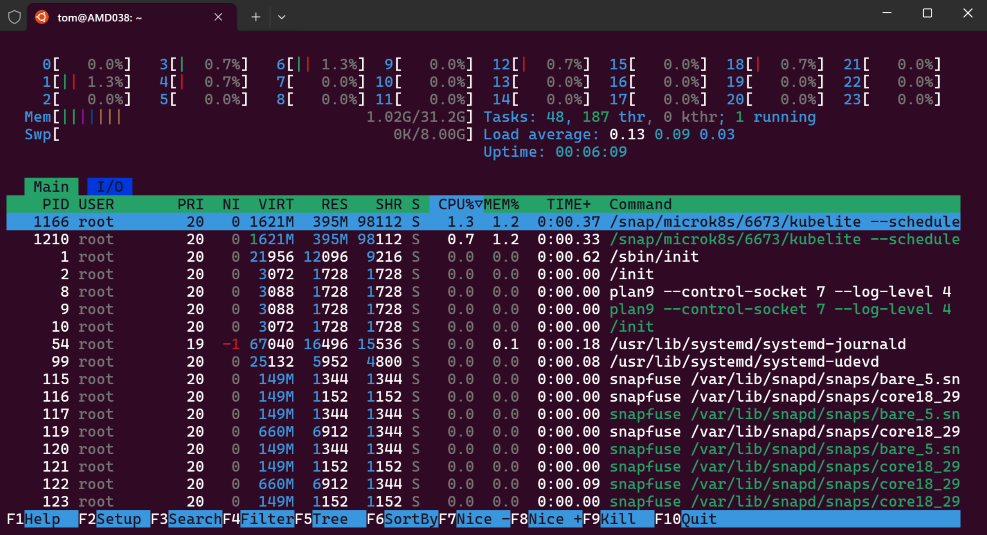 Výstup nástroje htop v Linuxu - Provoz počítačových sítí