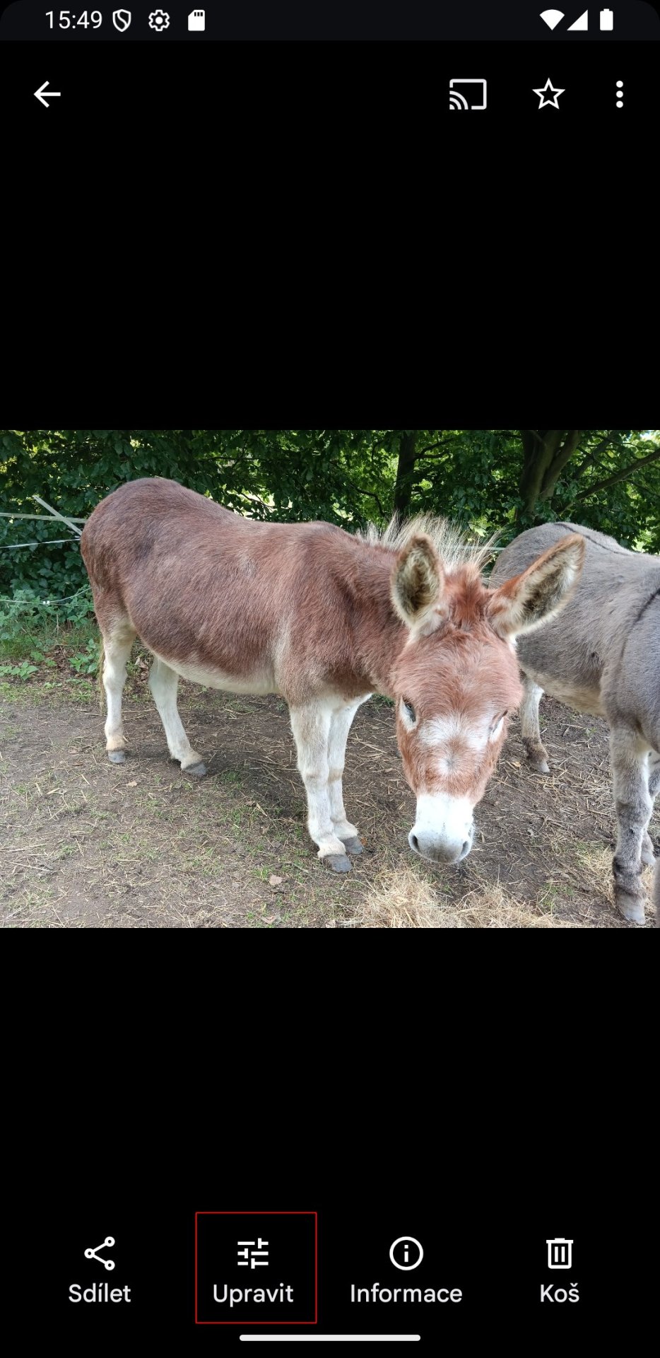 Možnost upravit foto na mobilu - Význam digitálních technologií a jejich rizika