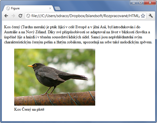 Ukázka použití HTML 5 tagu figure a figcaption k vložení ilustrace k článku - Layout - Český HTML 5 manuál