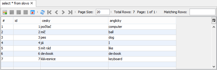 Výpis MySQL tabulky v NetBeans - Online kurzy programování v Javě - Největší český e-learning