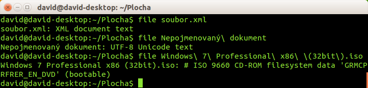 Analýza obsahu souboru pomocí příkazu file v Bashi - Základy Linuxu