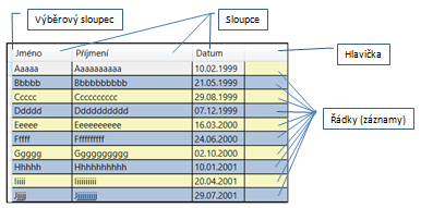 DataGrid v C# .NET WPF - WPF - Okenní aplikace v C# .NET