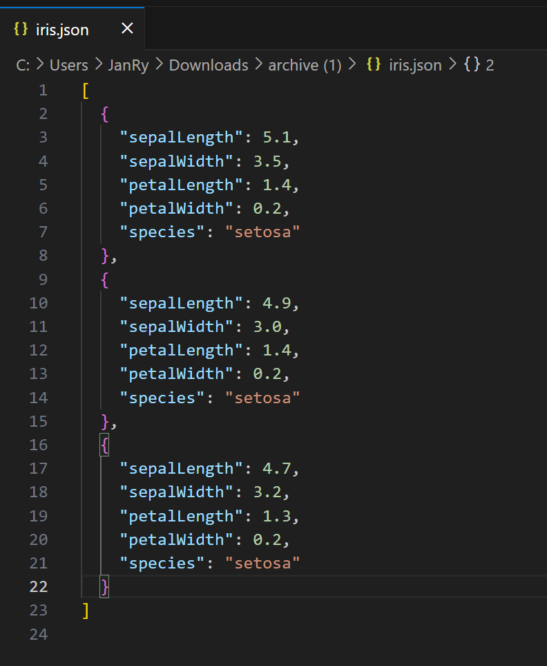 Otevření JSON souboru ve VSC - Úvod do datové analýzy a obchodního rozhodování
