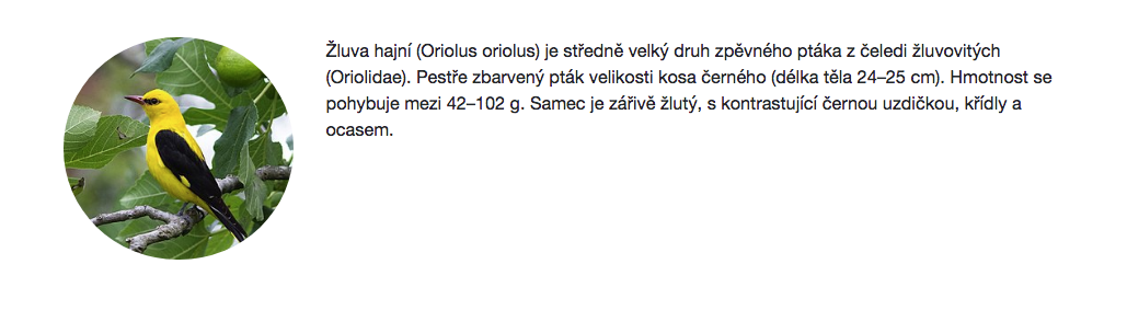 Kompletní kurz CSS frameworku Bootstrap