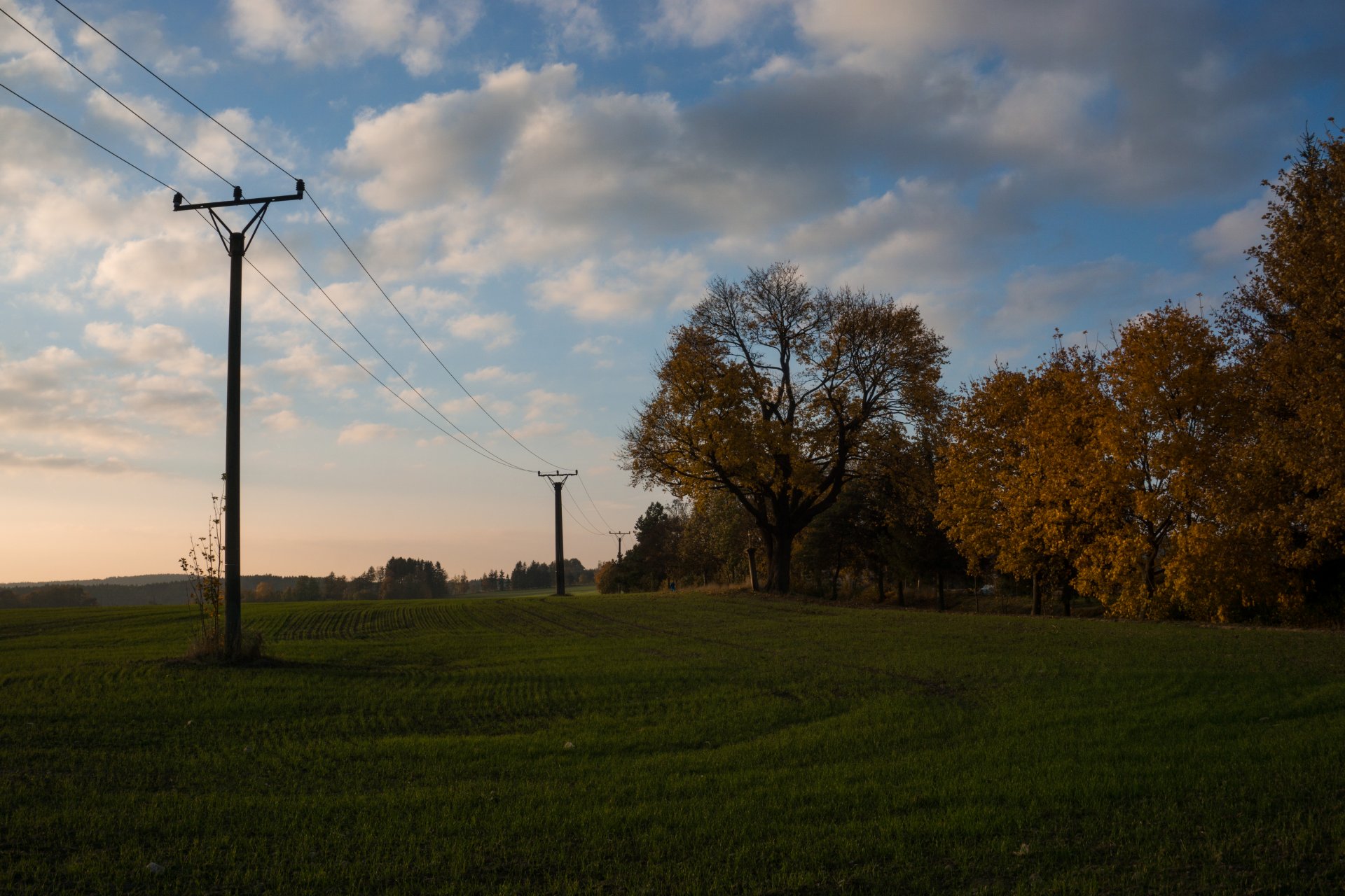 příroda - Fotografování pro začátečníky