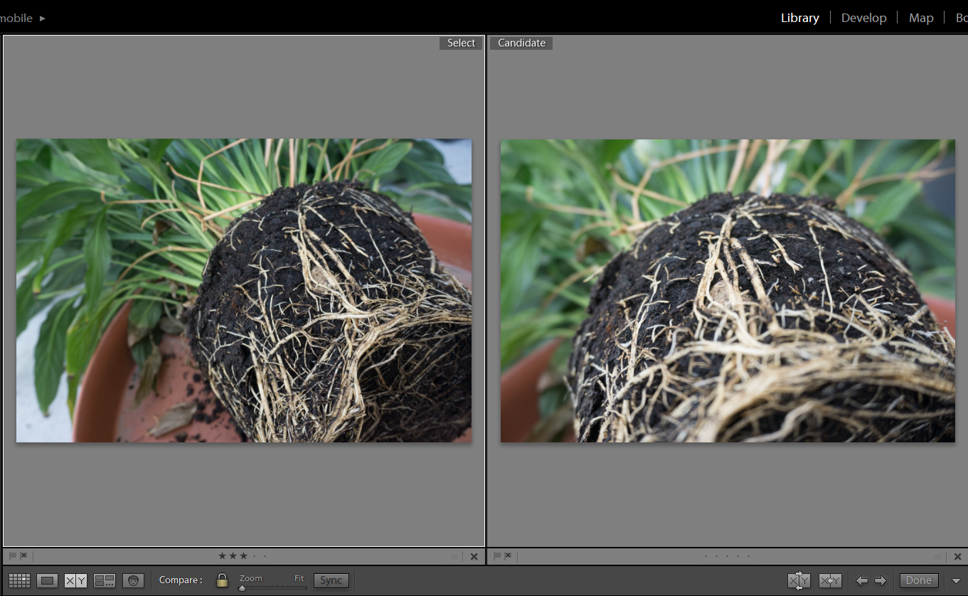 Lightroom porovnání - Adobe Lightroom - Proces postprodukce