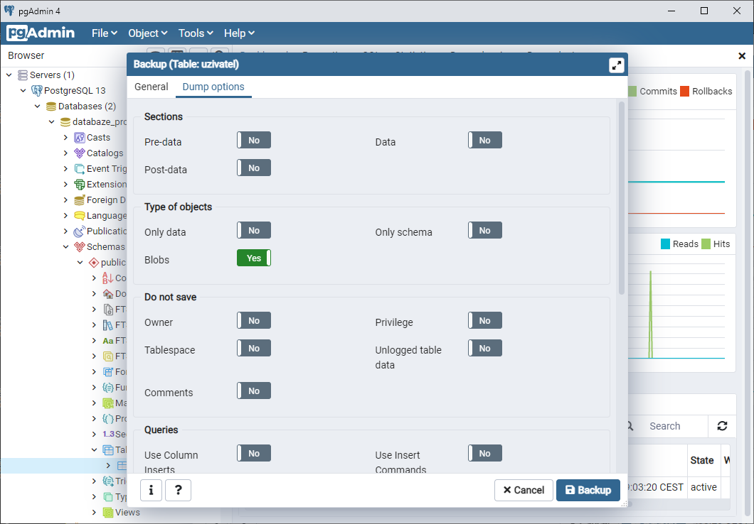 Backup dialog – záložka Dump options - PostgreSQL databáze krok za krokem