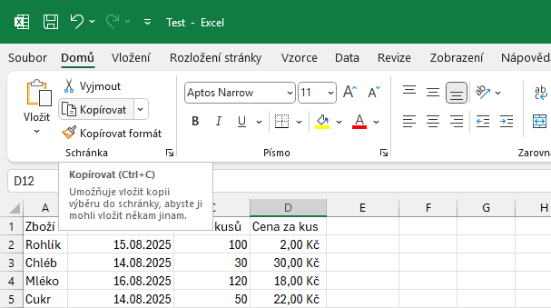 Nabídka Kopírovat na kartě Domů - Základy Microsoft Excel