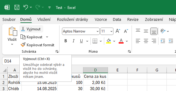 Nabídka Vyjmout na kartě Domů - Základy Microsoft Excel