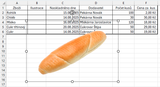 Vložený obrázek s výchozí velikostí - Základy Microsoft Excel