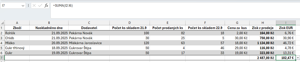 Výpočet celkového zisku v Kč a eurech - Základy Microsoft Excel