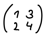 Čtvercová matice - Matematické algoritmy