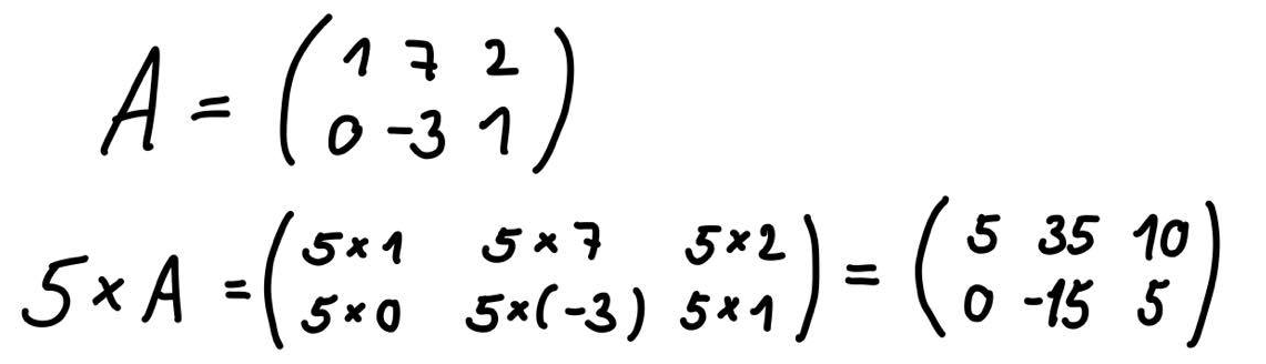 Násobení skalárem - Matematické algoritmy