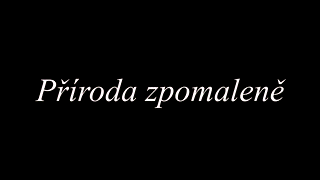 dosavadniProjekt - Úprava videa ve Vegas