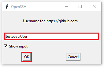 Zadání uživatelského jména - Git