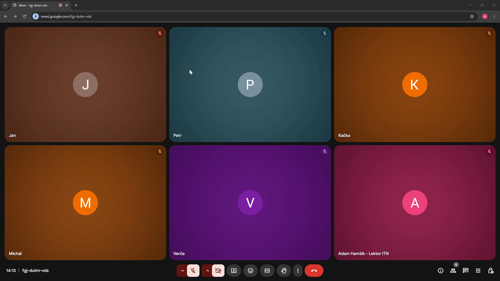 Zapnutí, vypnutí mikrofonu a kamery
