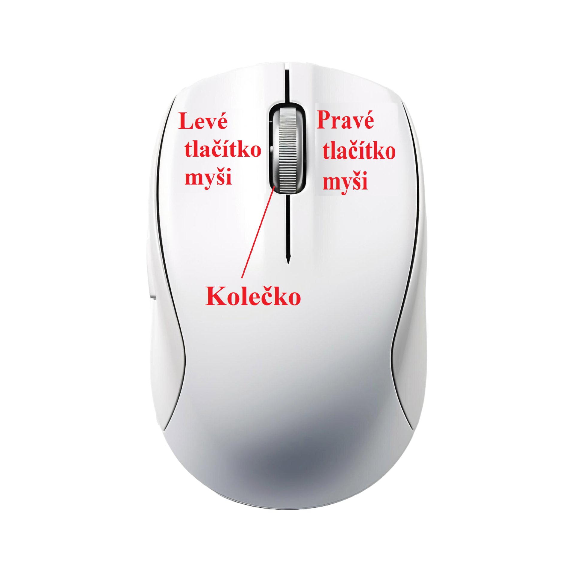 Myš - Základní ovládání PC