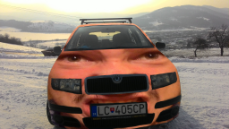 Avatar