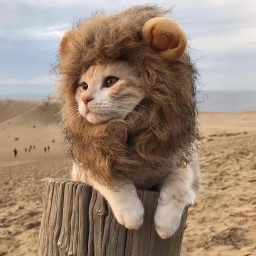 Avatar