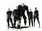 Přiložený obrázek