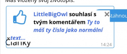 Přiložený obrázek