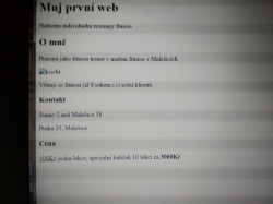 Přiložený obrázek