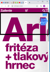 Přiložený obrázek