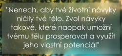 Přiložený obrázek