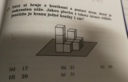 Přiložený obrázek