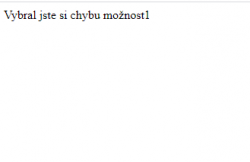 Přiložený obrázek