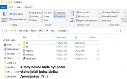 Přiložený obrázek